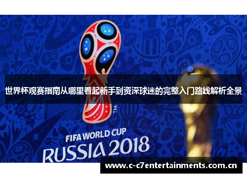 世界杯观赛指南从哪里看起新手到资深球迷的完整入门路线解析全景