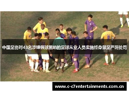 中国足协对43名涉嫌假球黑哨的足球从业人员实施终身禁足严厉处罚 中国足协对43名涉嫌假球黑哨的足球从业人员实施终身禁足严厉处罚
