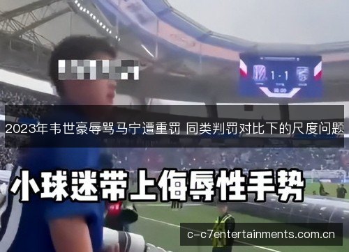 2023年韦世豪辱骂马宁遭重罚 同类判罚对比下的尺度问题